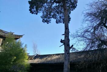 Baisha Traditional Naxi Culture Center